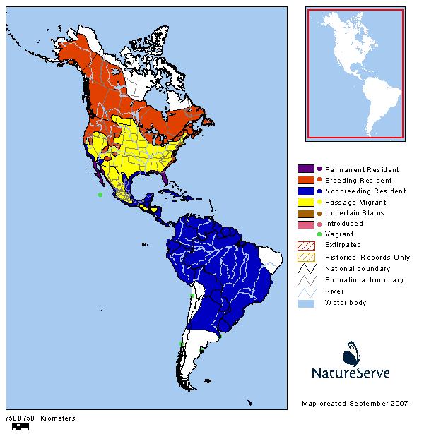 osprey bird range