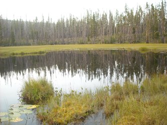 Montana Natural Heritage Program Wetlands Information