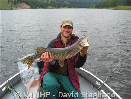 Northern Pike Fishing In North West Montana Sale