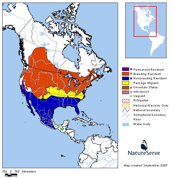 Vesper Sparrow - Montana Field Guide