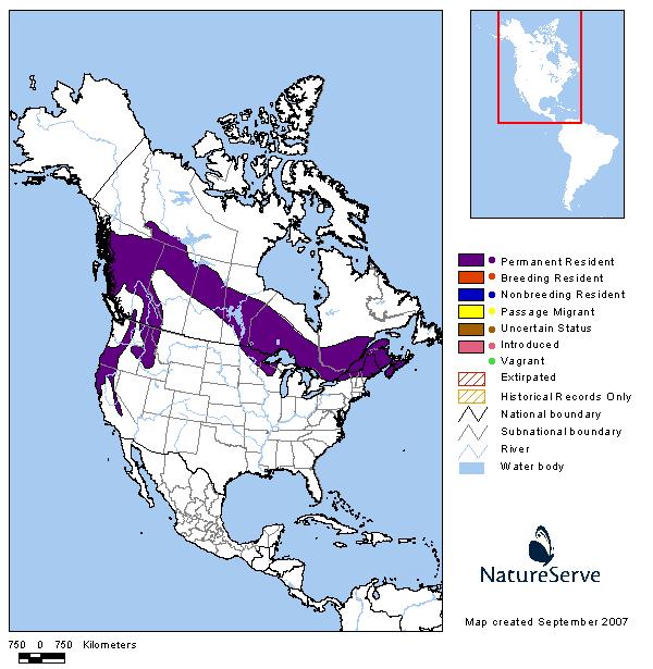 Fisher - Montana Field Guide